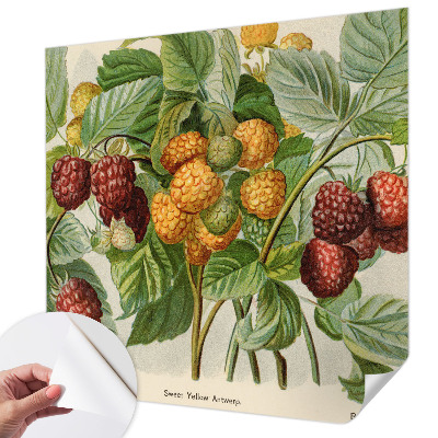 Peel and stick wall mural Classic raspberries