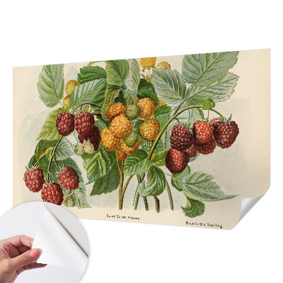 Peel and stick wall mural with a classic raspberry pattern