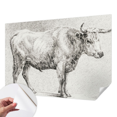 Self-adhesive wall mural featuring a bull pencil illustration