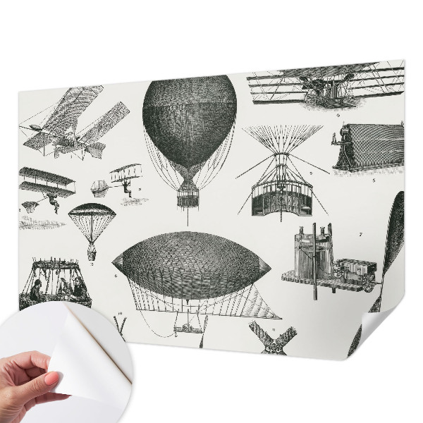 Peel and stick wall mural for living room featuring a history of aviation design