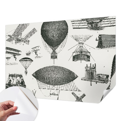 Peel and stick wall mural for living room featuring a history of aviation design