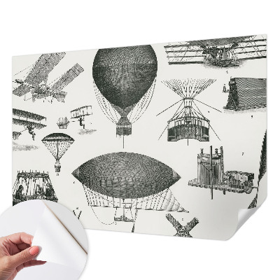Peel and stick wall mural for living room featuring a history of aviation design