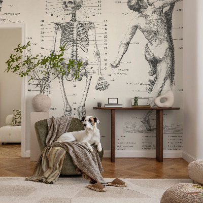 Removable wall mural wallpaper with a classical anatomy illustration