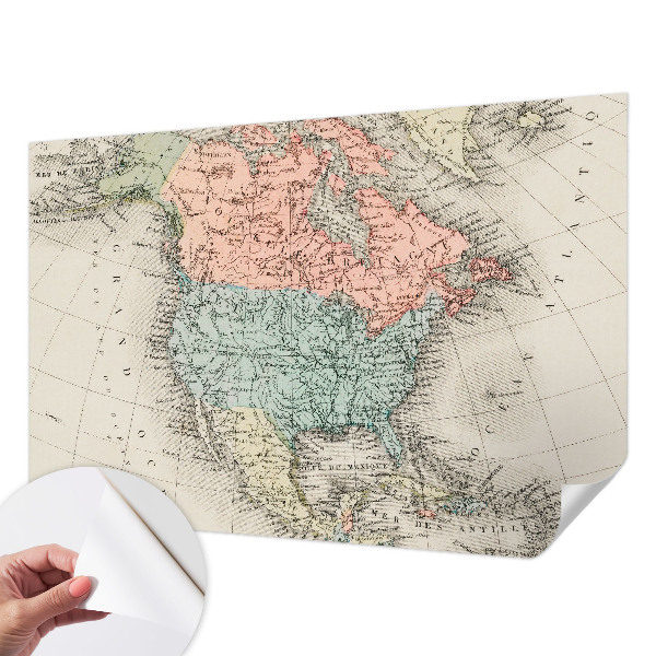 Peel and stick wall mural for kids' room with a historical map design