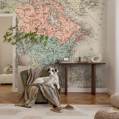 Peel and stick wall mural for kids' room Historical map