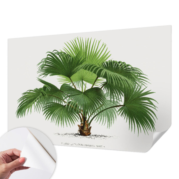 Nursery wall mural with an exotic palm tree motif