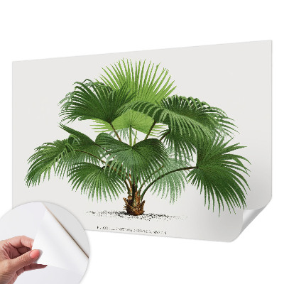 Nursery wall mural with an exotic palm tree motif