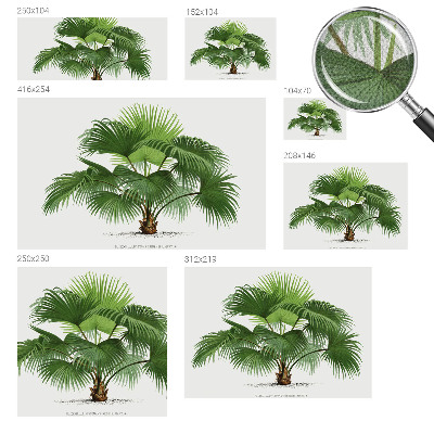 Nursery wall mural with an exotic palm tree motif