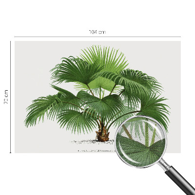Nursery wall mural with an exotic palm tree motif