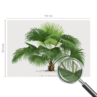 Nursery wall mural with an exotic palm tree motif