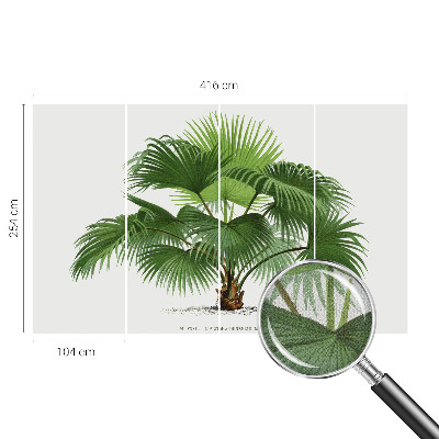 Nursery wall mural with an exotic palm tree motif