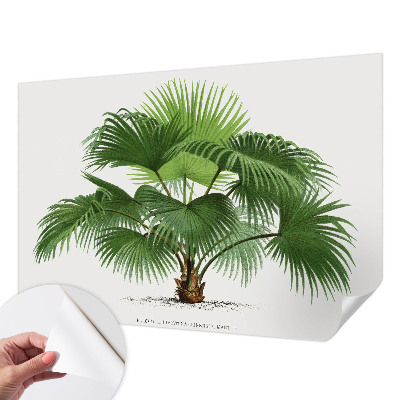 Nursery wall mural with an exotic palm tree motif