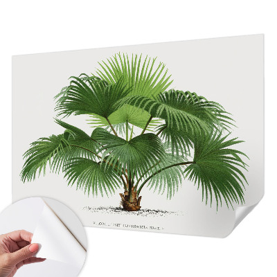 Nursery wall mural with an exotic palm tree motif