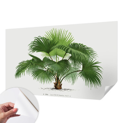 Nursery wall mural with an exotic palm tree motif
