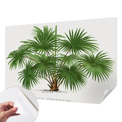 Children's wall mural Exotic pattern