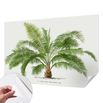 Baby room wall mural Shiny palm tree
