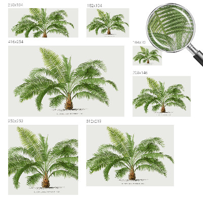 Baby room wall mural Shiny palm tree