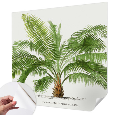 Baby room wall mural Shiny palm tree