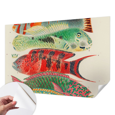 Peel and stick wall mural Exotic fish
