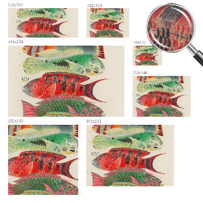 Peel and stick wall mural Exotic fish