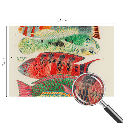 Peel and stick wall mural Exotic fish