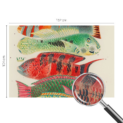 Peel and stick wall mural featuring an exotic fish design