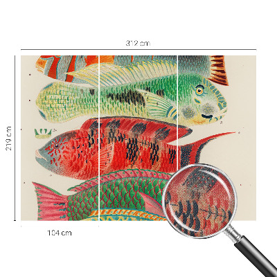 Peel and stick wall mural featuring an exotic fish design