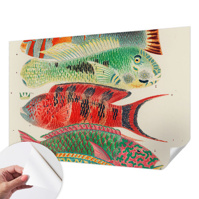 Peel and stick wall mural Exotic fish