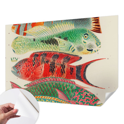 Peel and stick wall mural featuring an exotic fish design