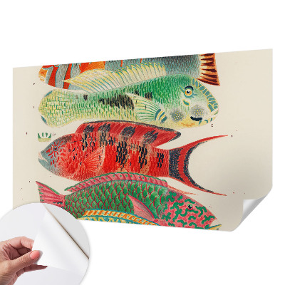 Peel and stick wall mural featuring an exotic fish design