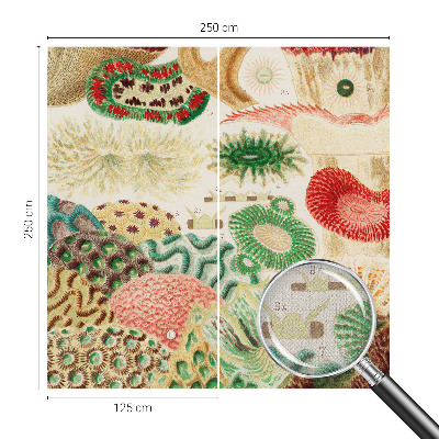 Peel and stick wallpaper mural with organic shapes