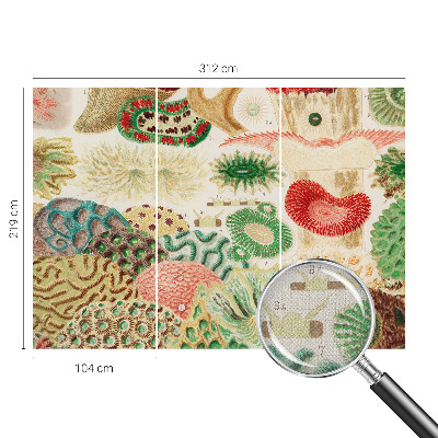 Peel and stick wallpaper mural with organic shapes