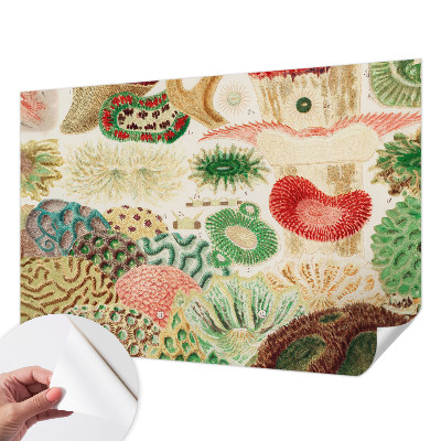 Peel and stick wallpaper mural with organic shapes