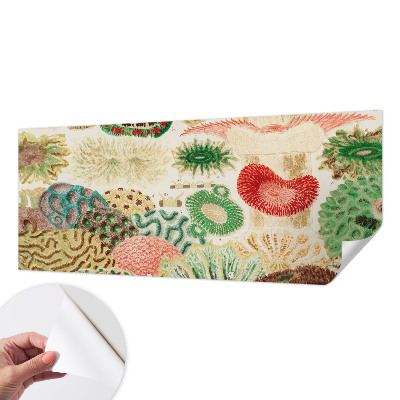 Peel and stick wallpaper mural Organic shapes