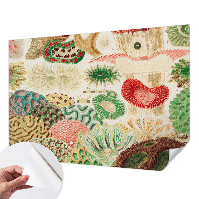 Peel and stick wallpaper mural with organic shapes