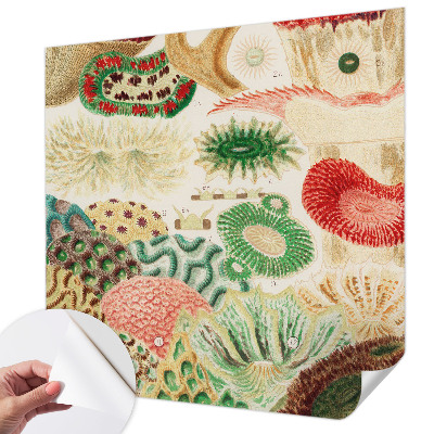 Peel and stick wallpaper mural with organic shapes