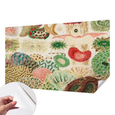 Peel and stick wallpaper mural with organic shapes