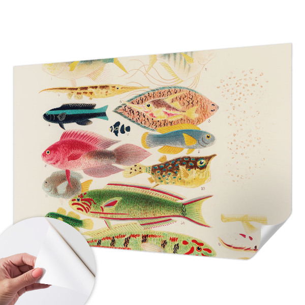 Self-adhesive wall mural with a colorful fish design