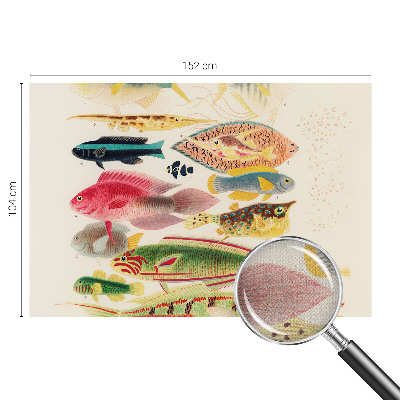 Self-adhesive wall mural Colorful fish