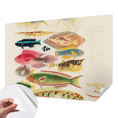 Self-adhesive wall mural Colorful fish