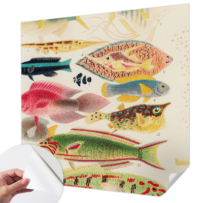 Self-adhesive wall mural Colorful fish