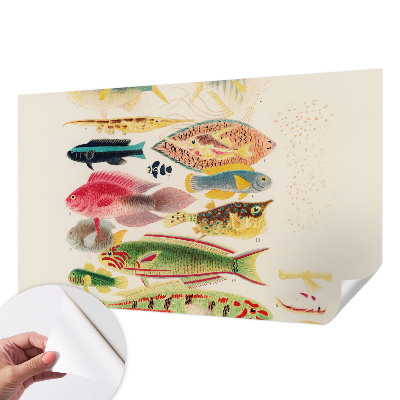 Self-adhesive wall mural Colorful fish