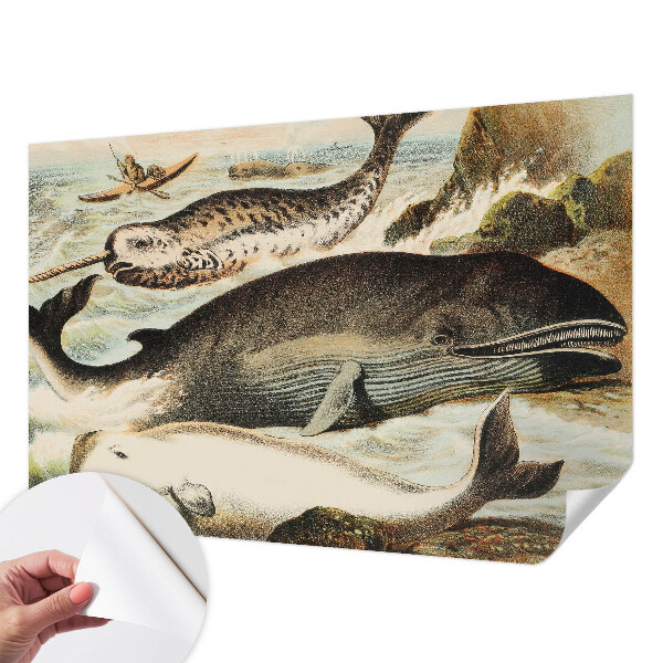 Peel and stick wallpaper mural featuring sea giants