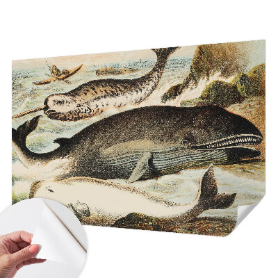 Peel and stick wallpaper mural featuring sea giants