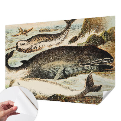 Peel and stick wallpaper mural featuring sea giants