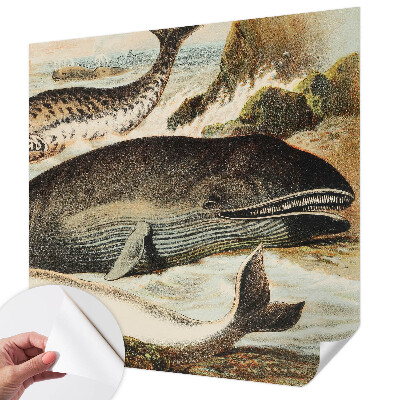 Peel and stick wallpaper mural featuring sea giants