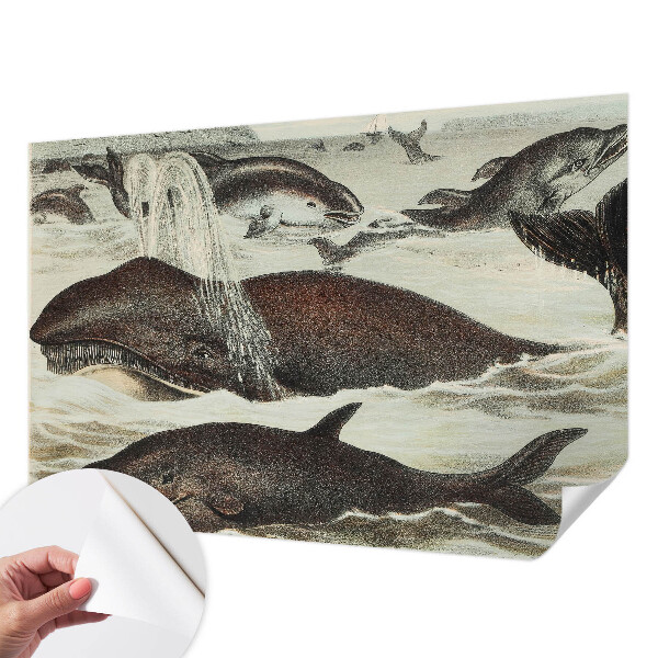 Self-adhesive wall mural featuring sea creatures