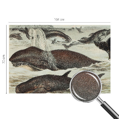 Self-adhesive wall mural featuring sea creatures