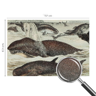 Self-adhesive wall mural Sea creatures