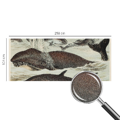 Self-adhesive wall mural Sea creatures